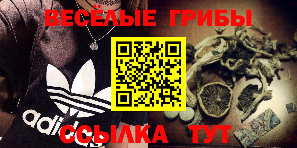 Балтийск  Галлюциногенные грибы мухоморы  Псилоцибиновые грибы ЛСД  Вход с VPN 